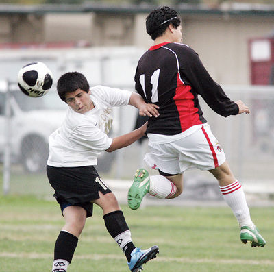 Flag Football: Falcons outscored by Tigers in TCAL clash, Bulldogs beat  Raiders, Tracy Press sports