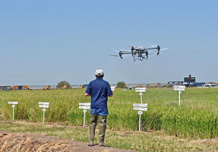 Farms increasingly use drones for aerial applications | Patterson ...