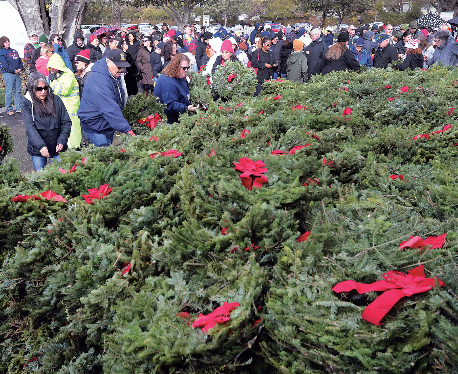 Veterans remembered at annual wreath laying ceremony at the Tracy ...