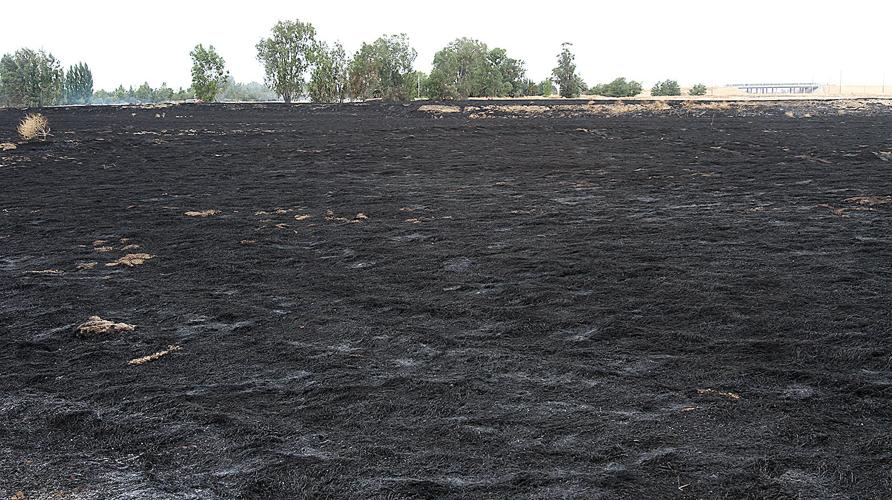 Fire burns field near Mountain House park Tracy Press News