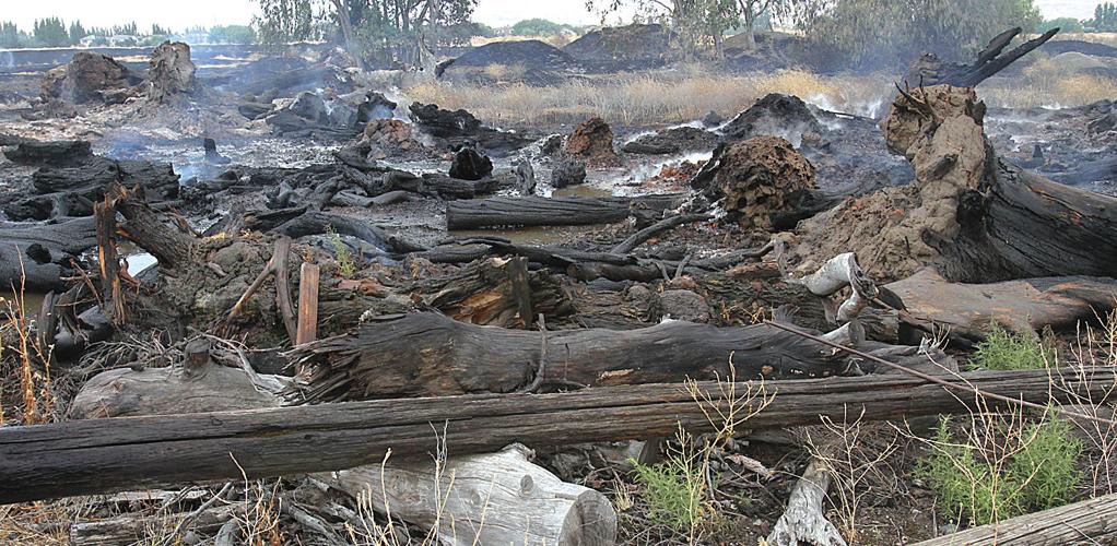 Fire burns field near Mountain House park Tracy Press News