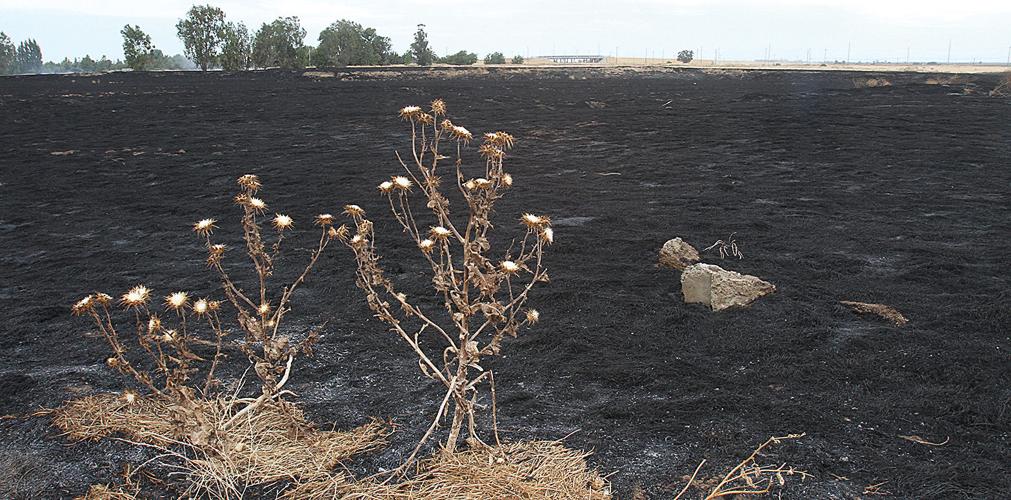 Fire burns field near Mountain House park Tracy Press News