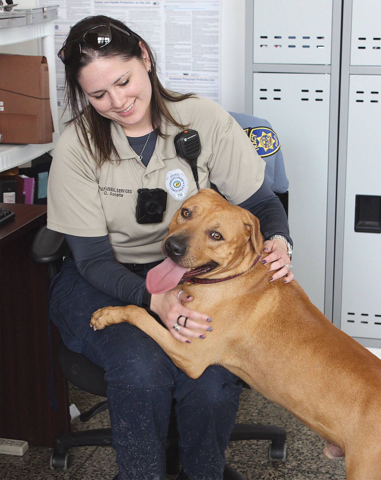 Tracy store dog pound