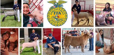 Patterson FFA