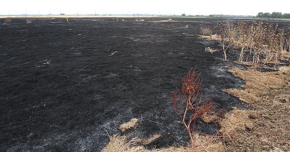 Fire burns field near Mountain House park Tracy Press News