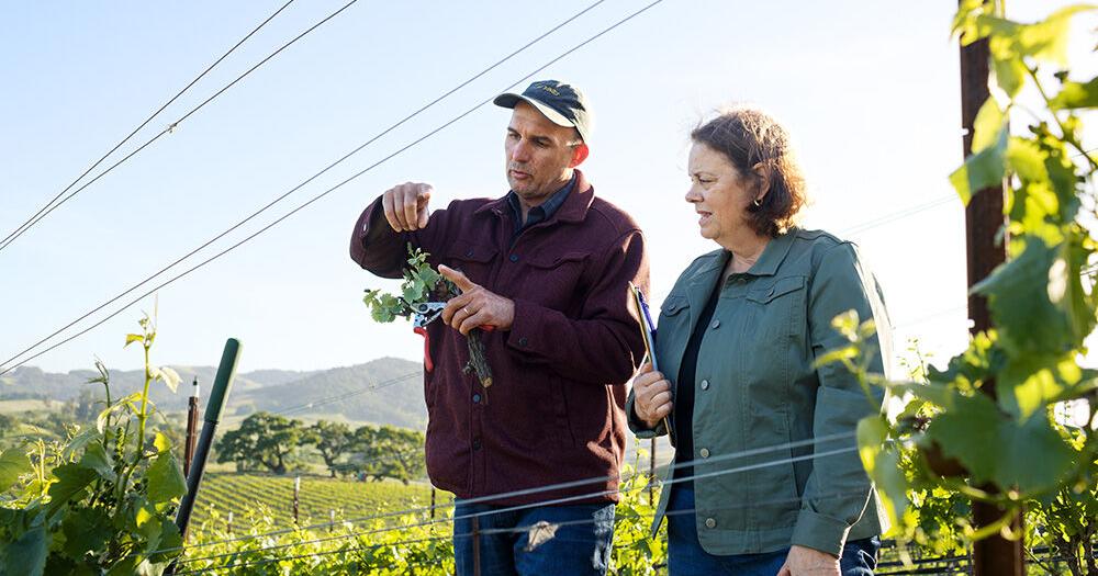 Mentorship program grows next-generation farmers