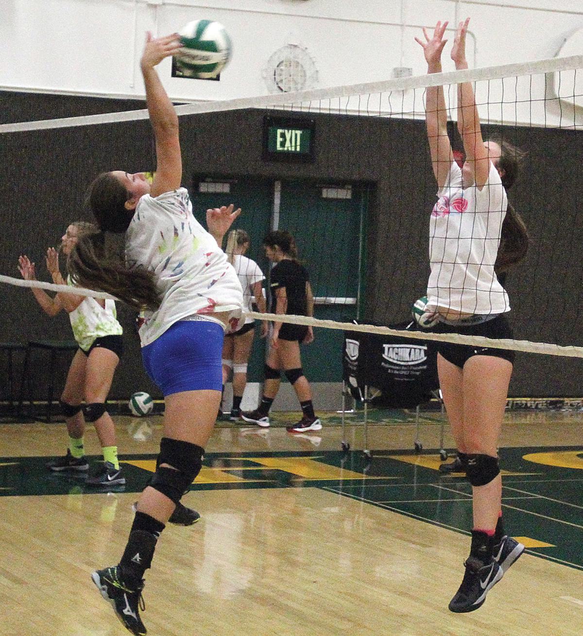 Volleyball teams begin 2016 season Tracy Press