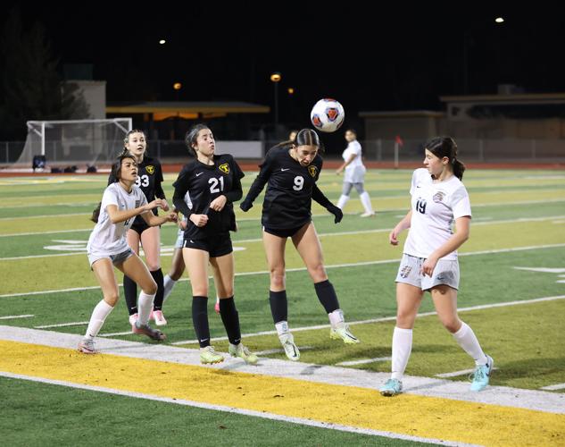 Girls soccer: Bulldogs knock off the Wolf Pack to secure season sweep ...
