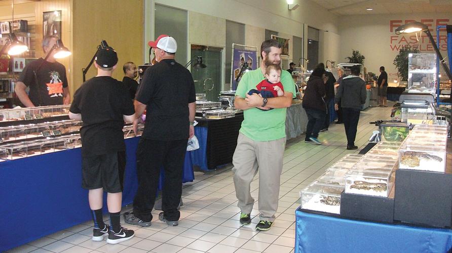 Reptile show at West Valley Mall brings exotic to Tracy Tracy Press