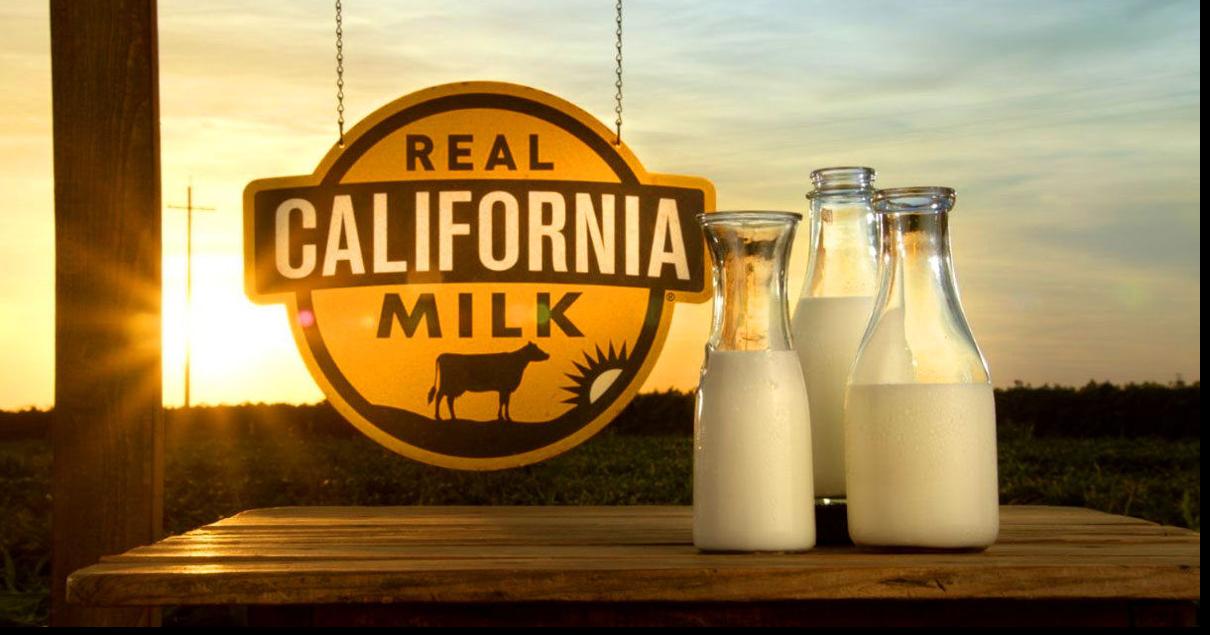 CALIFORNIA DAIRY DISTRICT 4 SEEKS AMBASSADORS TO SERVE AS 2026 DAIRY PRINCESSES