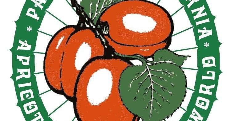 National Apricot Day Honors a Sweet Legacy — and Patterson’s Orchard Roots