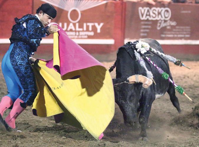 Portuguese bloodless bullfights Tracy Press