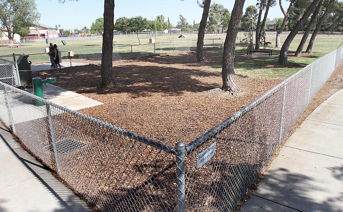 Small dog park draws big attention Tracy Press Our Town