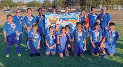 TYSL team wins U14 District Cup