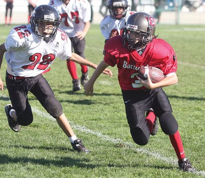 Panthers Youth Football