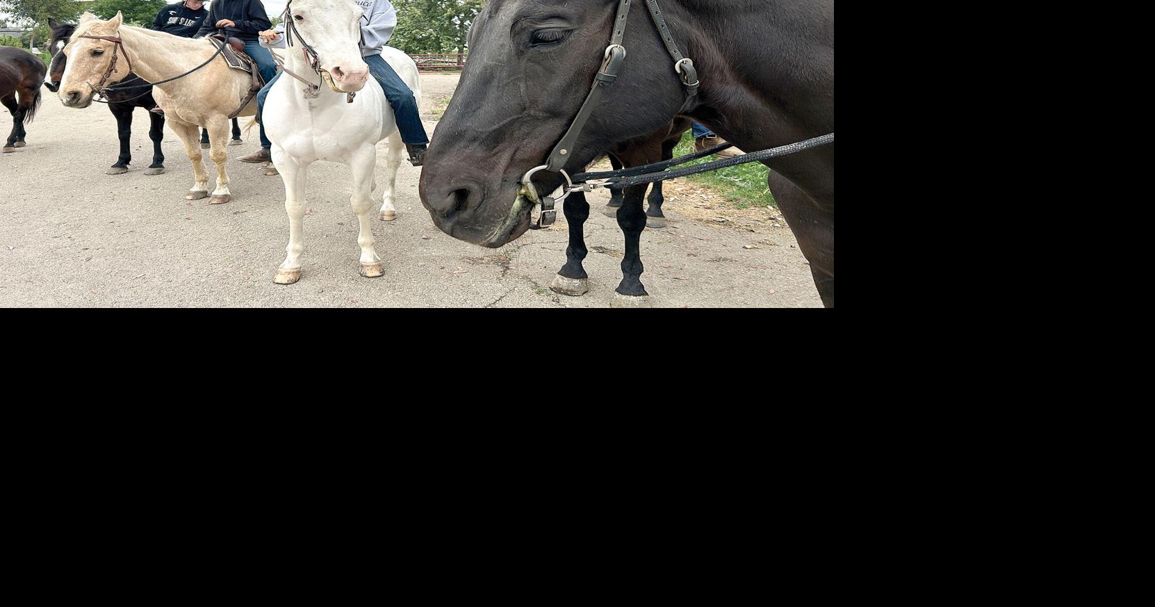 Google helps make riding center a popular destination | Tracy Press ...