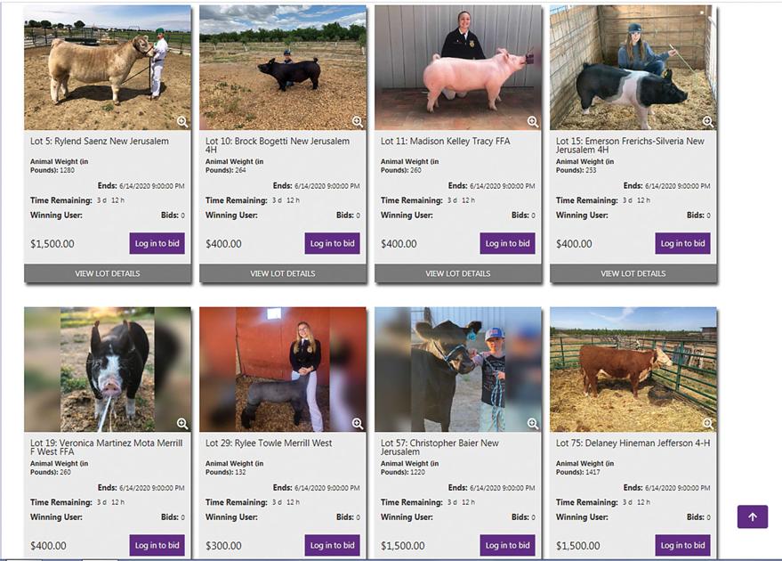 Virtual Agfest Livestock Auction Begins Friday Tracy Press Our