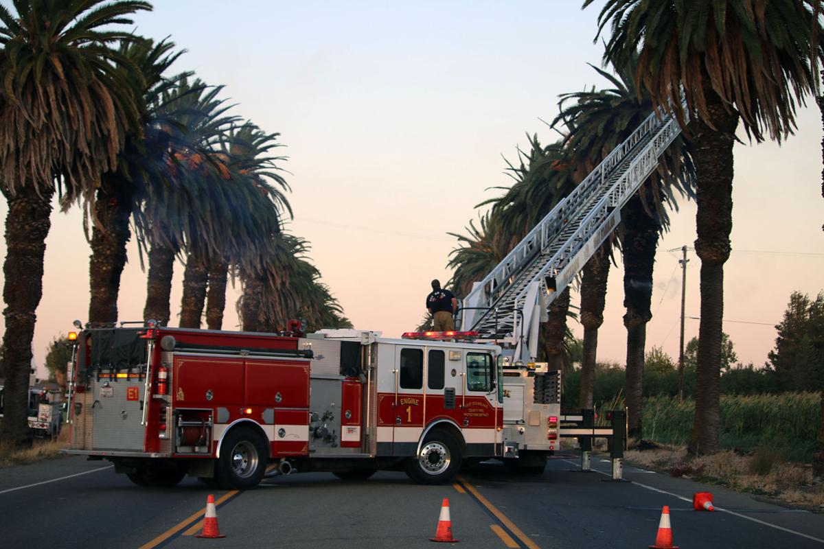 Palm Tree Fire