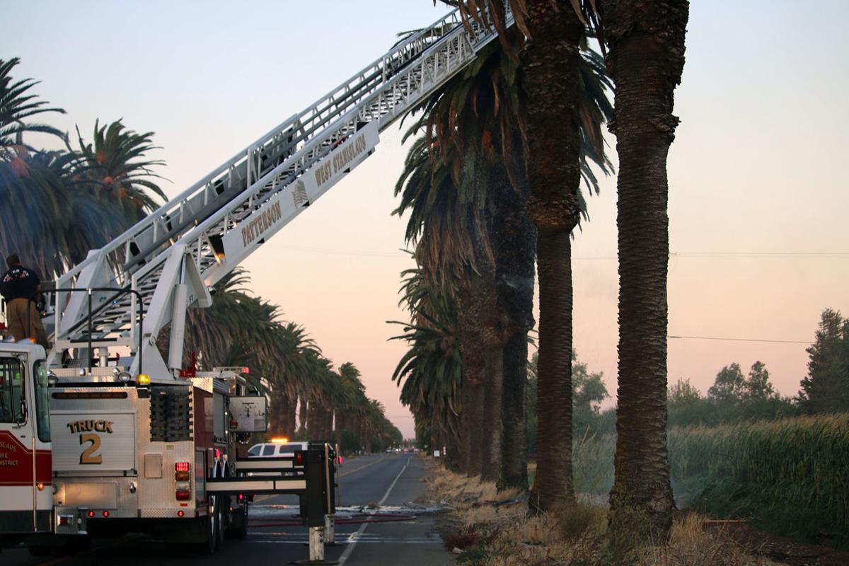 Palm Tree Fire