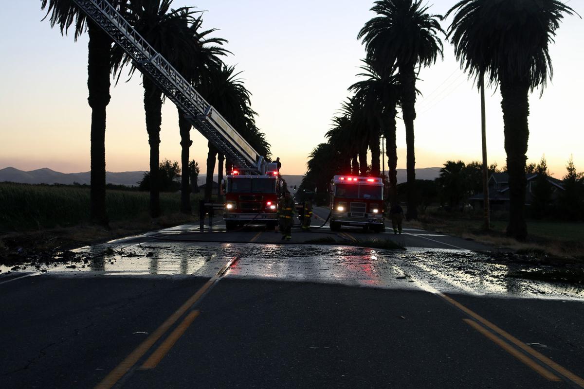 Palm Tree Fire