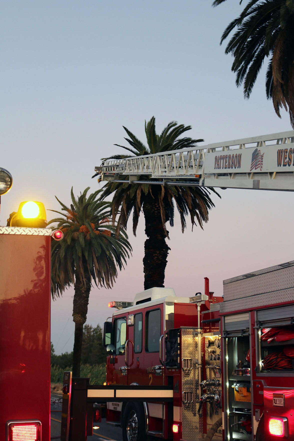 Palm Tree Fire