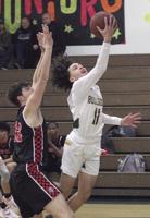 Boys basketball: Bulldogs outmuscled by Trojans in TCAL loss