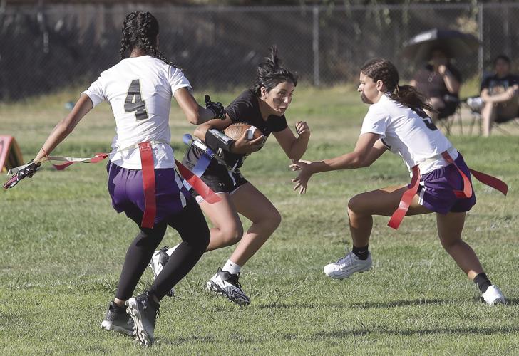 Flag Football: Falcons outscored by Tigers in TCAL clash, Bulldogs beat  Raiders, Tracy Press sports