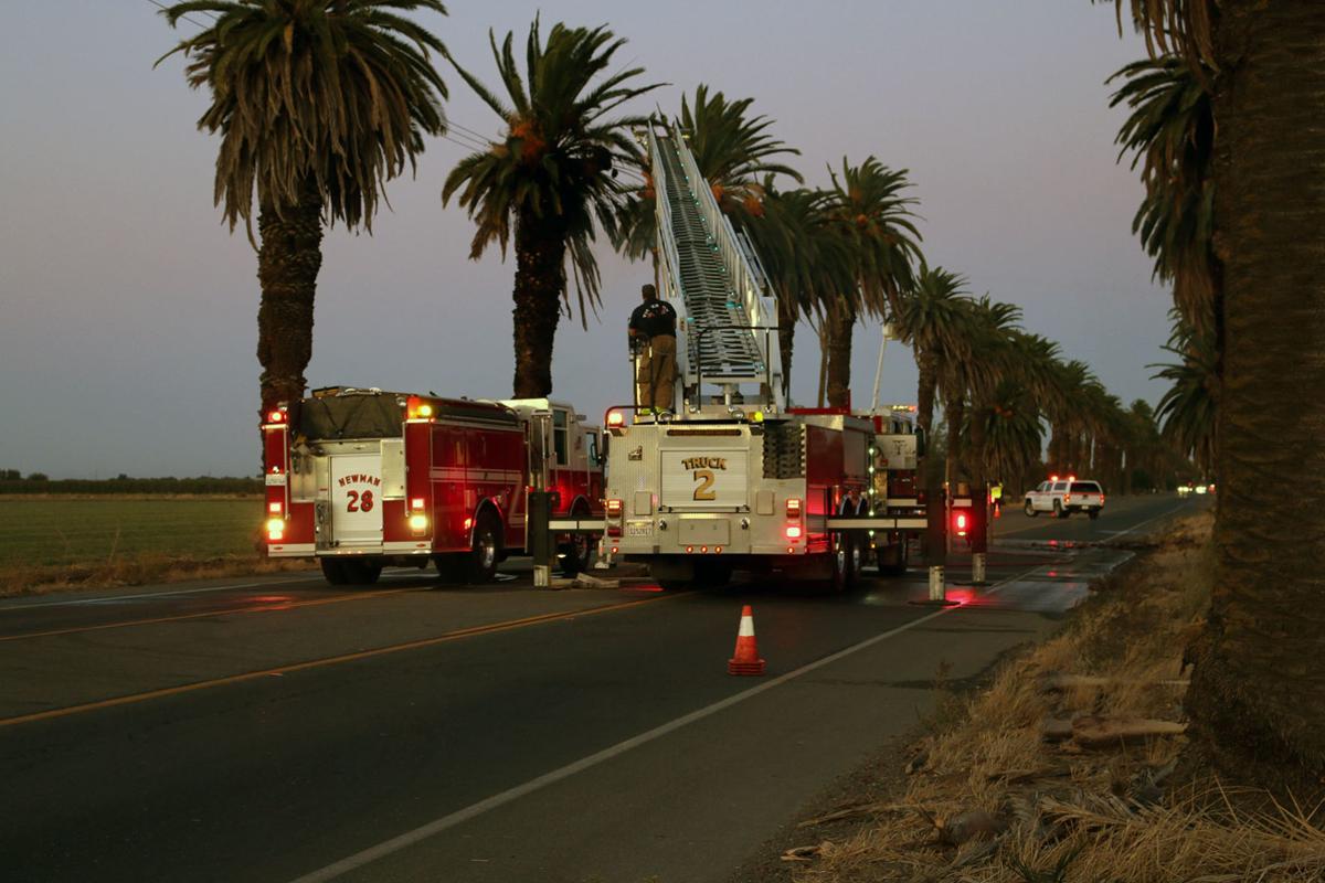 Palm Tree Fire