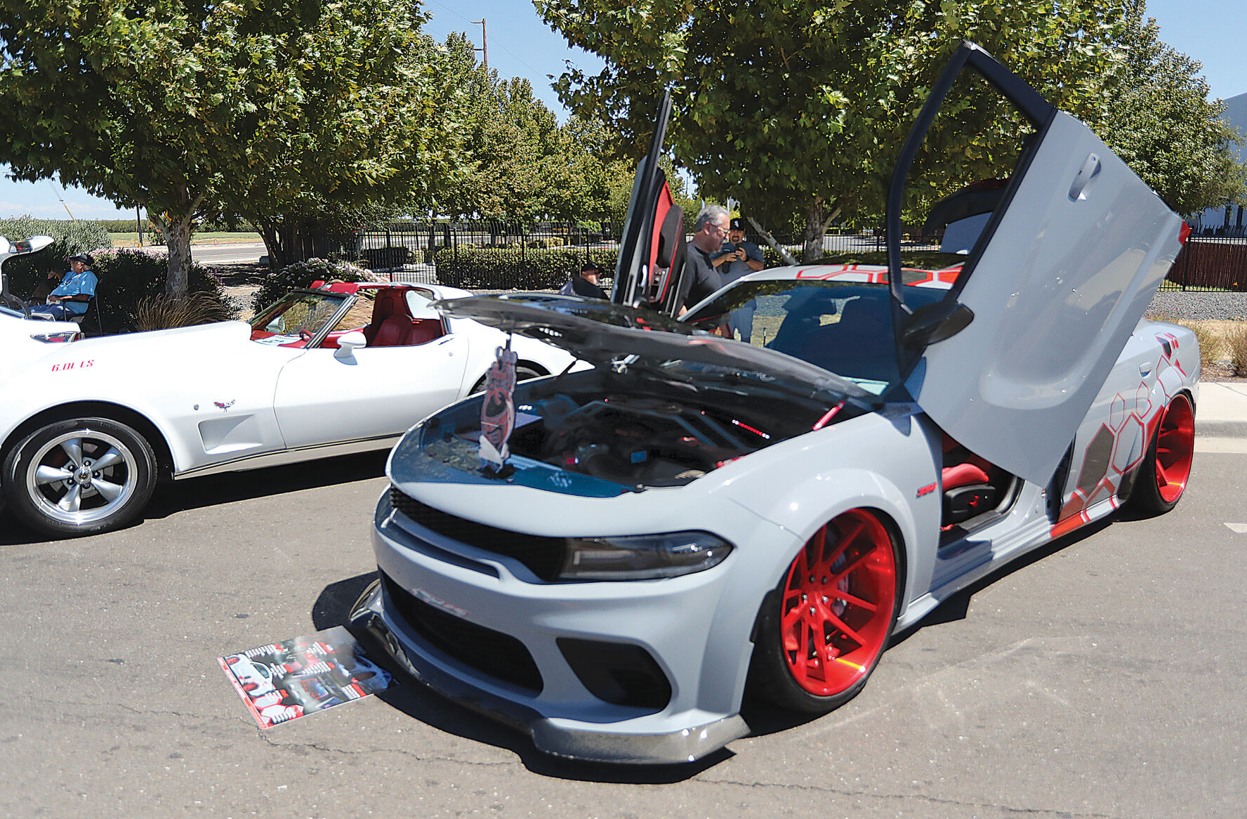 Crowds turn out for first Hot Pawgust Nights | Tracy Press