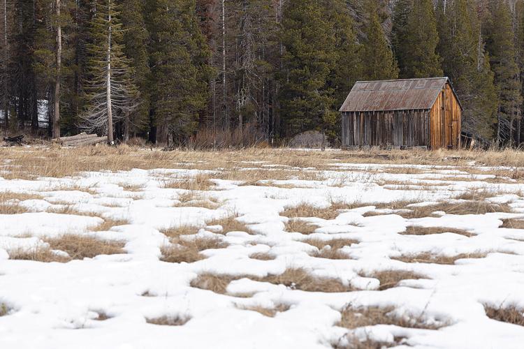 Sparse Snow First snow survey shows slow start to the water year | Tracy Press ...