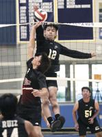 Volleyball: Mustangs upset by Tigers in playoff opener