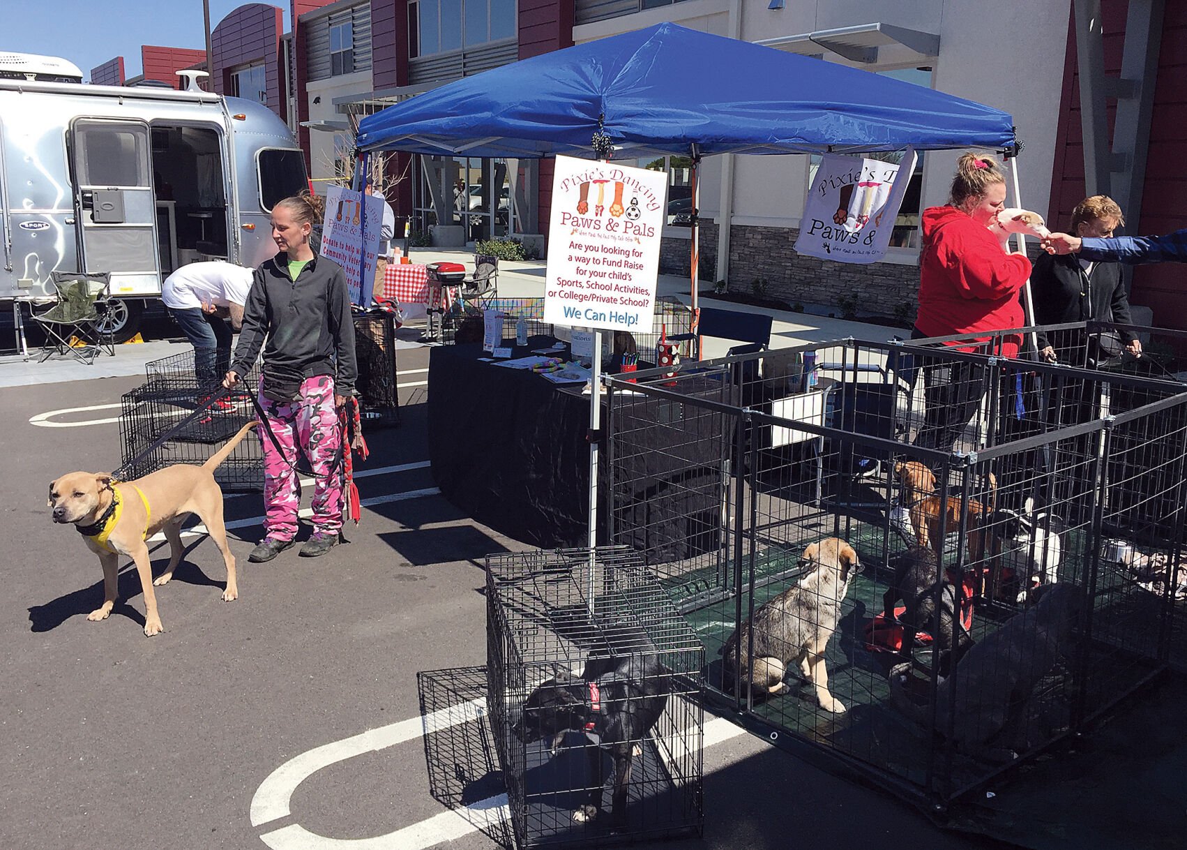 Camp bow wow outlet adoption event