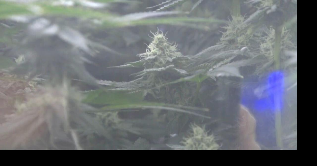 Northern California Coalition to Safeguard Commuties urges citizens to stay alert in winter PSA