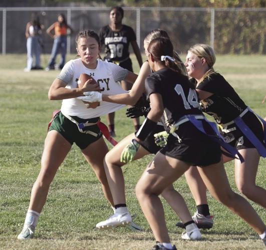 Flag Football: Falcons outscored by Tigers in TCAL clash, Bulldogs beat  Raiders, Tracy Press sports