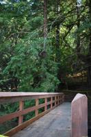 New outdoor opportunities
