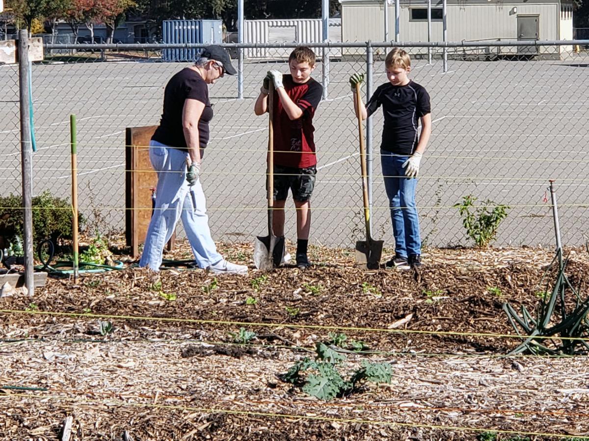 Creekside Middle School Garden Gets Winter Spruce Up Patterson