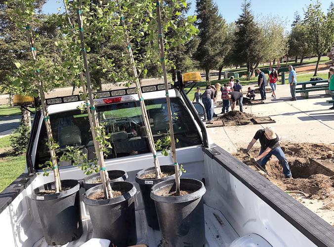 For Earth Day, new trees in park Tracy Press Our Town