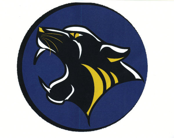 Cheetah 3.0  Animal logo, Sports team logos, Sports decals