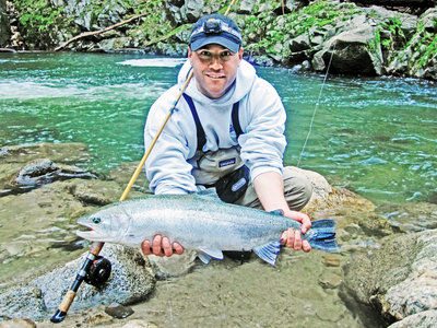 Let s go fishin Steelhead perch fishing top charts Press