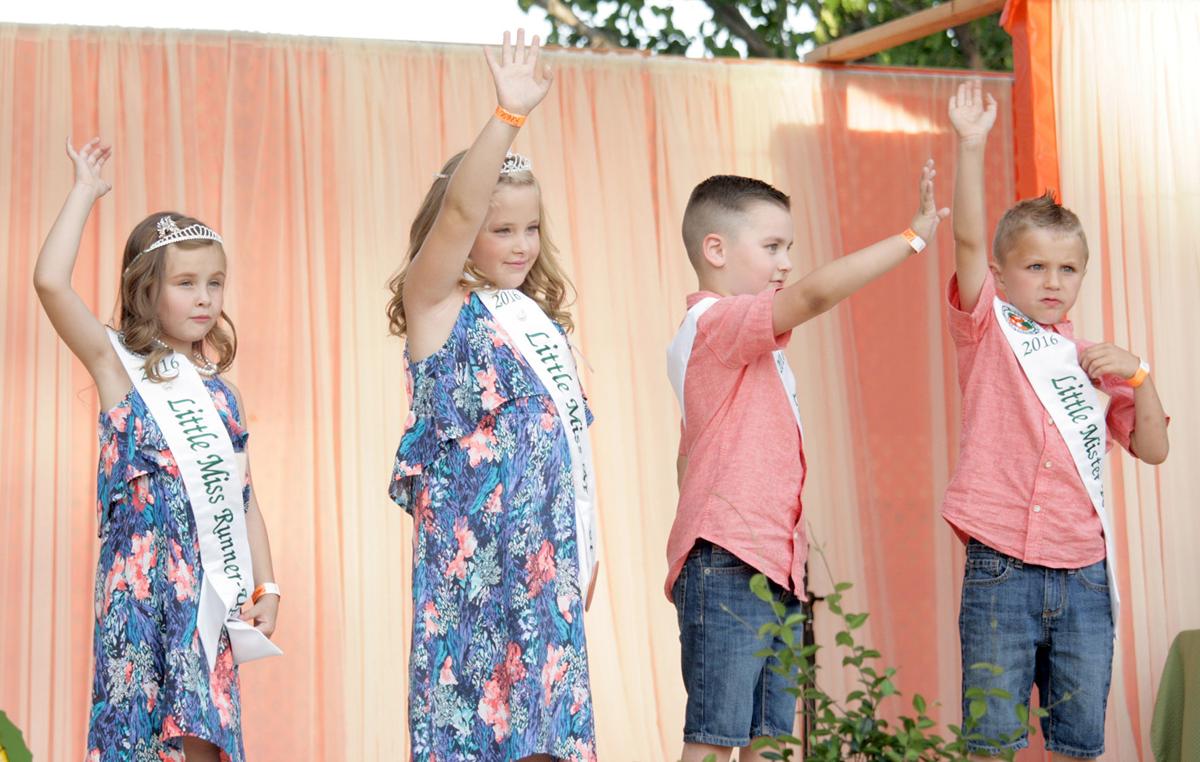 Gallery Little Mr And Miss Apricot 16 Patterson Irrigator Ttownmedia Com