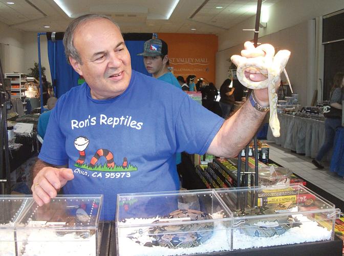 Reptile show at West Valley Mall brings exotic to Tracy Tracy Press