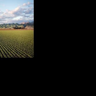 New state laws affect farming in California