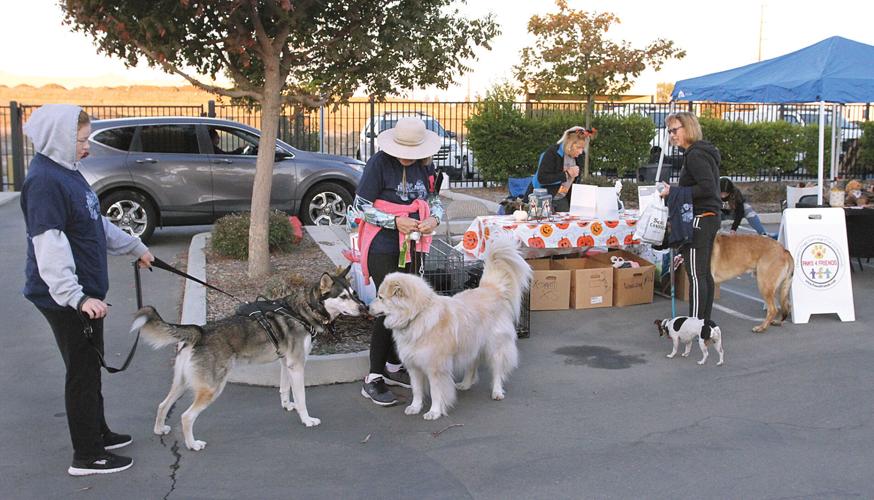 Fast and the Furriest fun run returns to benefit Tracy Animal Shelter