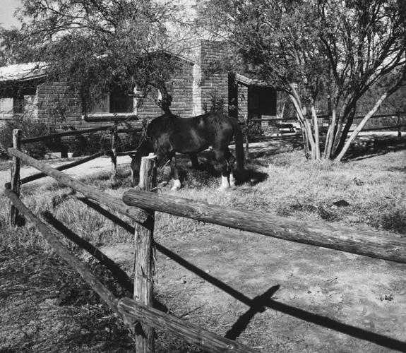 1958 Tucson home photos: History at the writer's house