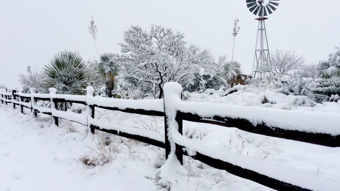 Azle Snow 59 beautiful photos of snow in Southern Arizona | Tucsón | tucson.com