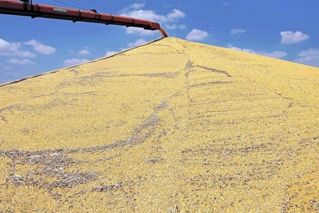 Mounds of grain pile up — and up  