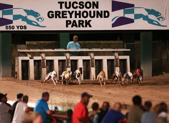 Last race at Tucson Greyhound Park