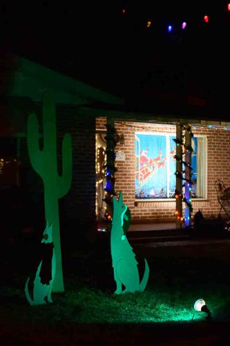 Winterhaven Festival of Lights 2015