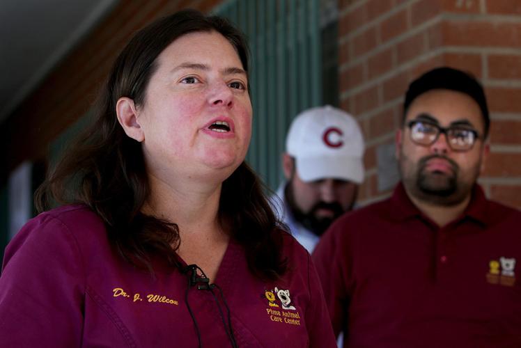 PACC temporarily halts admissions and adoptions