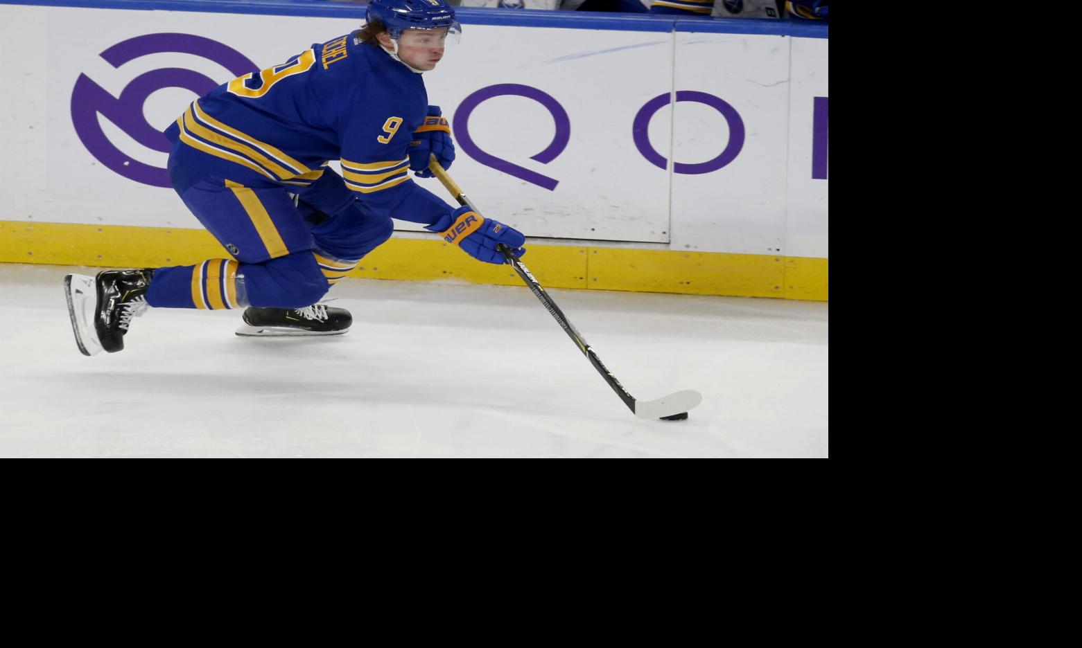 Carrying the puck (copy)